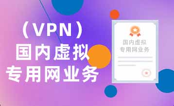 国内虚拟专用网业务（VPN）